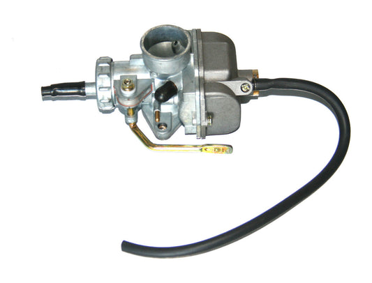 B&S LO206/Animal Carburetor Assembly